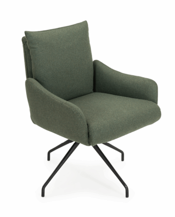 old 9263 Semi Brego Green